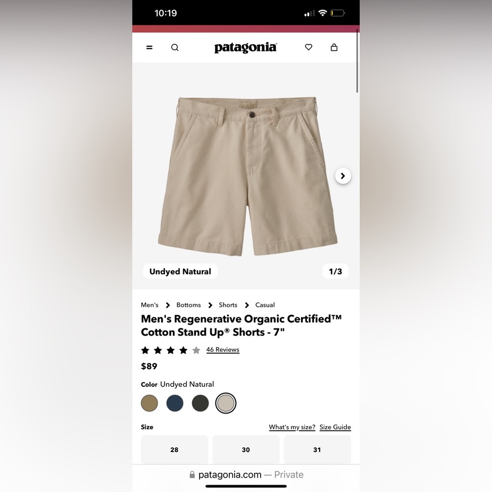 Men’s Patagonia stand up shorts size 36 9 inch inseam NWT